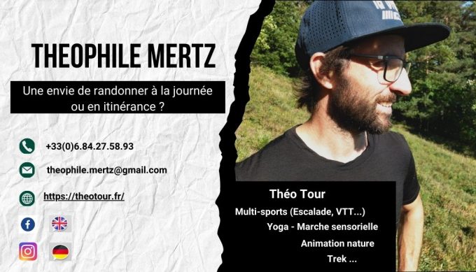 Carte visite TheoTour