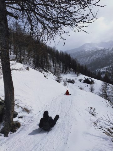 Rando luge en Clarée