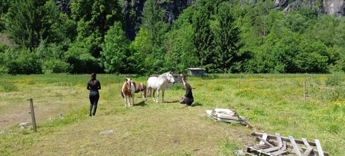 Equi&rsquo;Son _Le Bourg-d&rsquo;Oisans