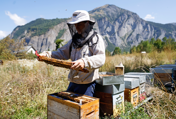 Visite de la miellerie et dégustation_Le Bourg-d&rsquo;Oisans