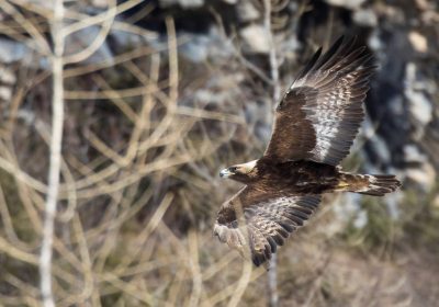 Rencontre avec une animatrice du Parc national des Écrins