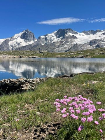plateau d’emparis