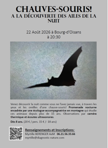 À la découverte des ailes de la nuit_Le Bourg-d&rsquo;Oisans