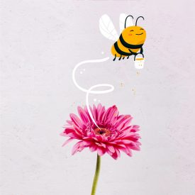 Safari abeilles 