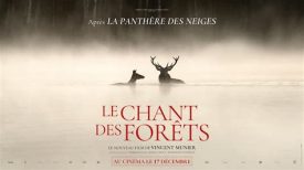 Ciné rencontre « Le chant des forêts »