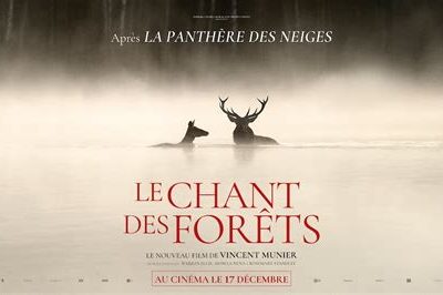 Ciné rencontre « Le chant des forêts »