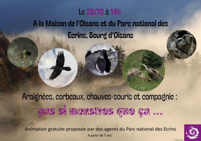 Araignées, corbeaux, chauves-souris et compagnies : pas si monstres que ça …_Le Bourg-d&rsquo;Oisans